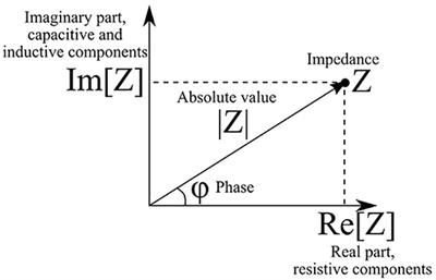 Impedance Spectroscopy as a Tool for Monitoring Performance in 3D Models of Epithelial Tissues